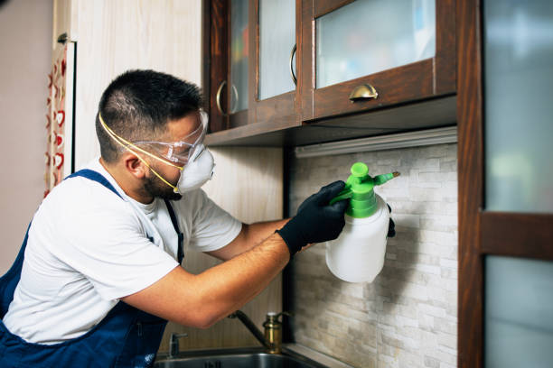 Best Residential Pest Control  in Farmerville, LA