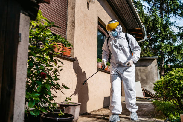 Best Pest Removal Services  in Farmerville, LA