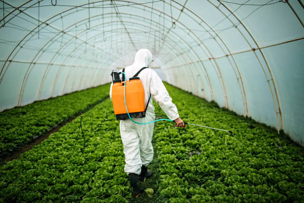 Pest Control for Restaurants in Farmerville, LA