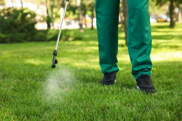 Best Flea Control Services  in Farmerville, LA