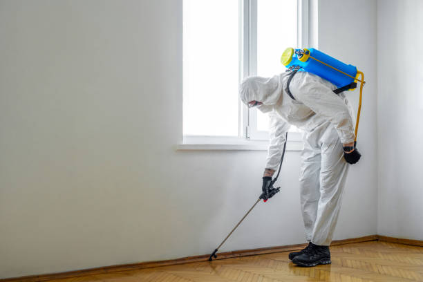 Professional Pest Control in Farmerville, LA