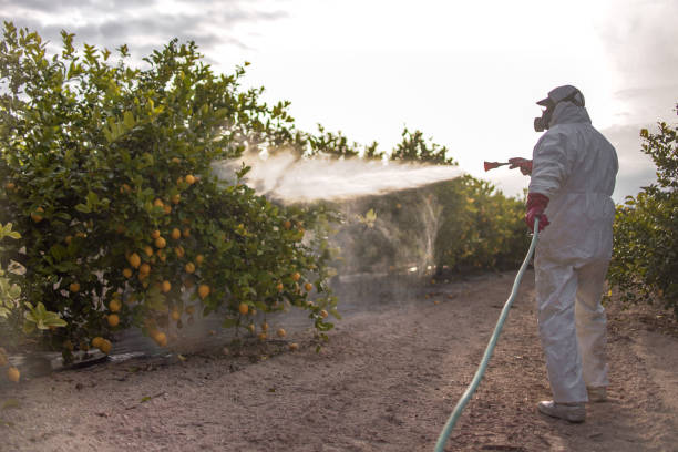 Pest Control Cost in Farmerville, LA