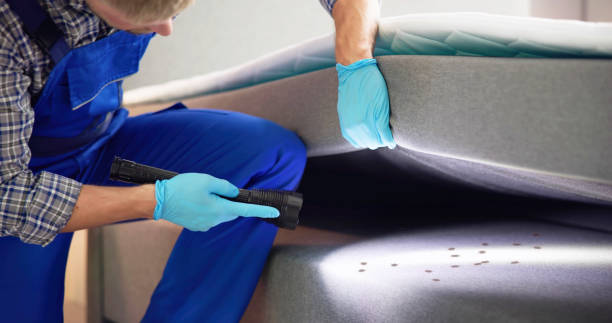 Best Exterminator Services  in Farmerville, LA