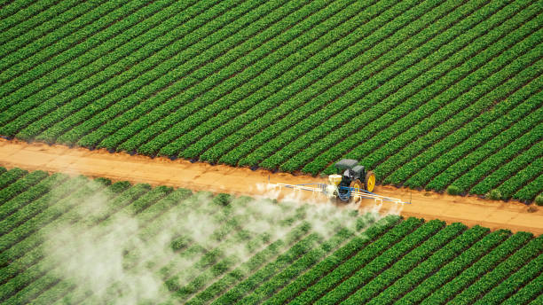 Best Affordable Pest Control Services  in Farmerville, LA