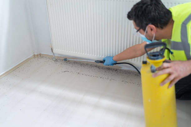 Best Wasp Removal Services  in Farmerville, LA